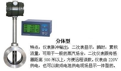 dn150渦街流量計(jì)分體型產(chǎn)品特點(diǎn)圖